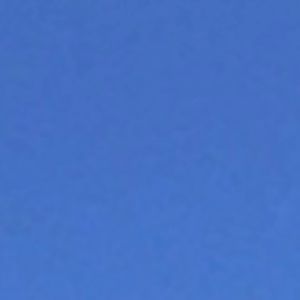 Meet your Posher, Lynn